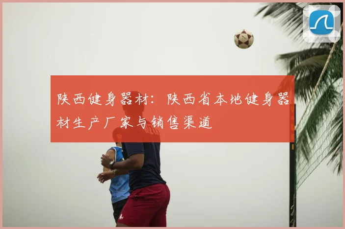 陕西健身器材:陕西省本地健身器材生产厂家与销售渠道