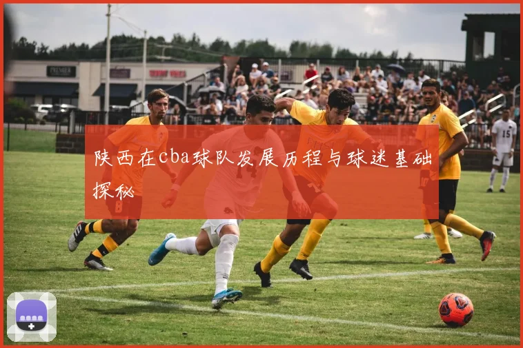 陕西在cba球队发展历程与球迷基础探秘