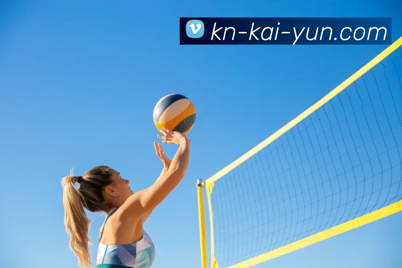 开云app平台生态图